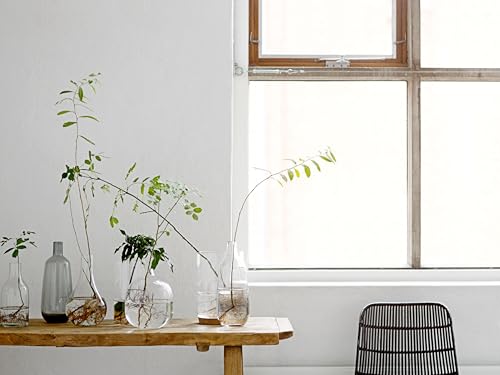 Bloomingville Stout Clear Glass Vase - color: Clear