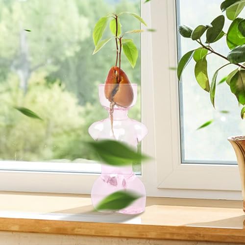 Propagation Vases for Plants Plant Propagation Jars Unique Body Avocado Vase Glass Planter Perfect for Seed Starting Water Rooting and Home Decor Gift for Father - color: Pink