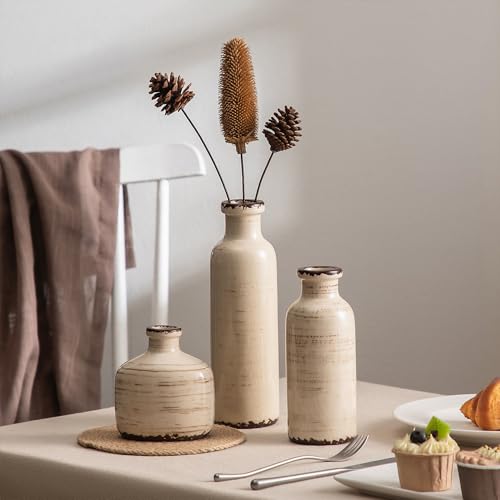 Ceramic Vase Set of 3 White - Ice Creak Bud Vases Set for Flower Centerpieces Decor - Vintage Samll Vase for Pampas Grass - Modern Decoration for Home Farmhouse Table Office, Mini Vase by Lyeec - color: 202-2