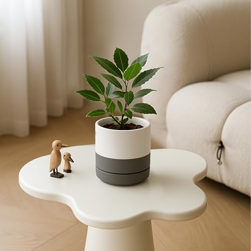 D'vine Dev Set of 2 Plants Pots, 4.7 Inch Ceramic Planter Pot for Plants with Drainage Hole and Saucer, White/Speckled Grey, 94-V-B-6 - color: White/Speckled Grey, size: 4.7 Inch