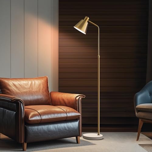 High-end Gold Brass Floor Lamp Bright 12W LED Light, Adjustable in Three Colors and Height, Electroplated Iron Lamp Post,Exquisite Craftsmanship,Standing Lamp for Living Room Bedroom Office Reading - color: Gold
