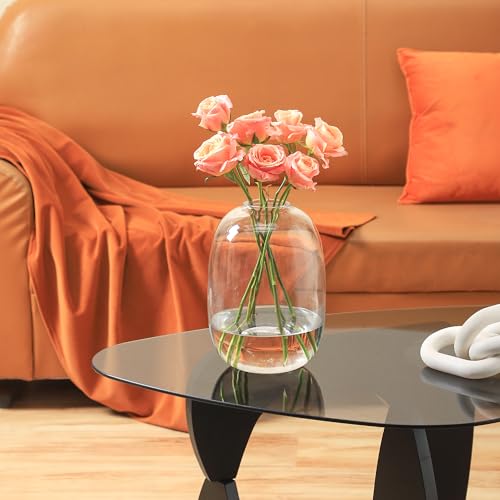 Large Glass Vase, 10 Inches Tall Glass Vases, Clear Glass Vase for Flower, Modern Round Vases for Living Room, Dining Table, Mantle, Shelf, Wedding, Office, Entryway - color: Clear