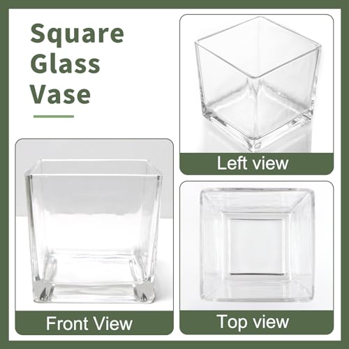 PINIWON 6 Pack Square Glass Vases 5 x 5 x 5 Inch, Clear Cube Flower Vases for Centerpieces, Candle Holders for Wedding Party Home Decor