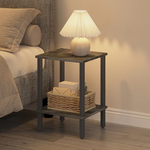 TUTOTAK End Table, Side Table, Nightstand, 2-Tier Storage Shelf, Sofa Table for Small Space, Living Room, Bed Room, Charcoal Grey TB01BY034 - color: Charcoal Grey