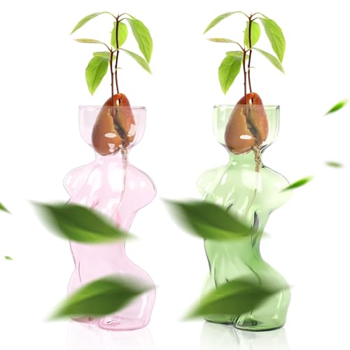 Propagation Vases for Plants Plant Propagation Jars Unique Body Avocado Vase Glass Planter Perfect for Seed Starting Water Rooting and Home Decor Gift for Father - color: Pink Green