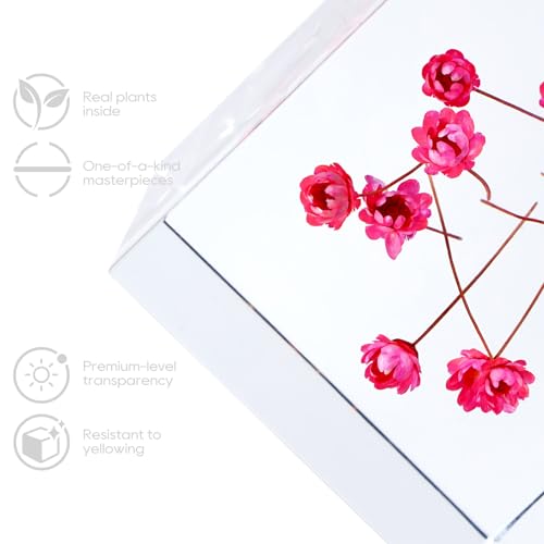 Acrylic Cube with Real Tiny Roses (Starflowers) Inside 6cm Cube Colorful Aesthetic Shelf Decor Desk Decor Paperweight for Girlfriend