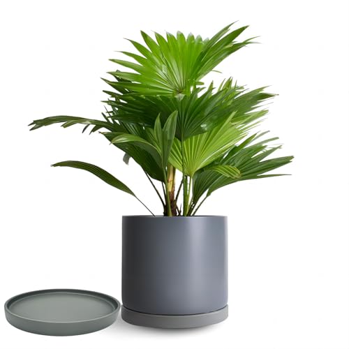 4 Pack Ceramic Plant Saucer Pot Tray 4 Inch, Planter Saucers 4 5 6 7 8 9 10 11 12 13 Inch for Indoors Outdoor, Durable Sturdy Flower Drainage drip Water Tray for Glazed Pots Base ((4.5"/4.1"-Grey) - color: Gray, size: (4.5"/4.1")-4pack
