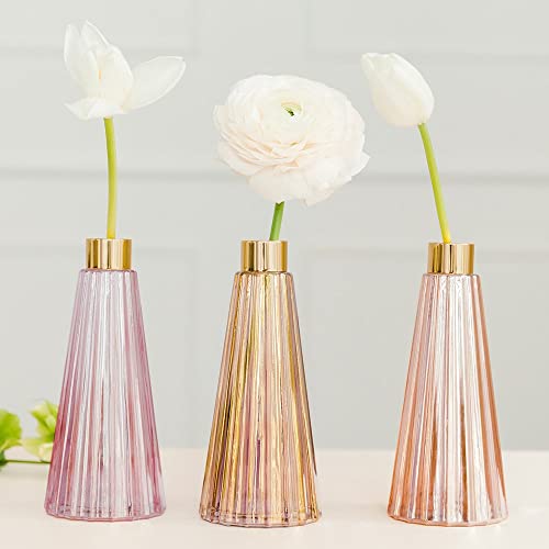 Weddingstar Tapered Colored Glass Bud Vases - Pink - Set of 3