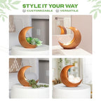 Table Planter - Desk Moon Planter – Candle Holder - Boho Planters for Indoor Plants, Succulents, Air Plant, Cactus, Faux, Artificial Plants -Witchy Gifts for Women, Birthdays, Plant Lovers - color: Gold