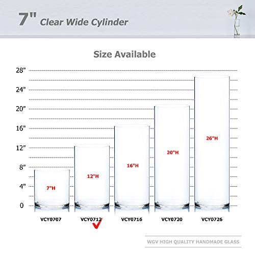 WGV Cylinder Vase, Width 7", Height 12", Clear Wide Large Diameter Flower Glassware, Floral Container, Planter Terrarium for Wedding Party Event, Home Accent Decor, 1 Piece - size: 7"x12"H