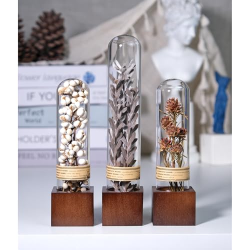 3Pcs Dried Flower Decor,Knick Knacks for Shelves,Cool Stuff for Bookshelf,Small Plants Decor for Office Shelves,Natural Green Plants Boho Shelf Decor,Apothecary Decor,Unique Gifts for Women,Friends - color: Minimalist Neutral Trio,3-piece Set