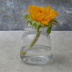 Elements Glass Milk Bottle Vase, for Use with Dried or Faux Flowers and Greenery, 4.2x4.2x4.72 Inch, Clear - size: 4.7 Inch