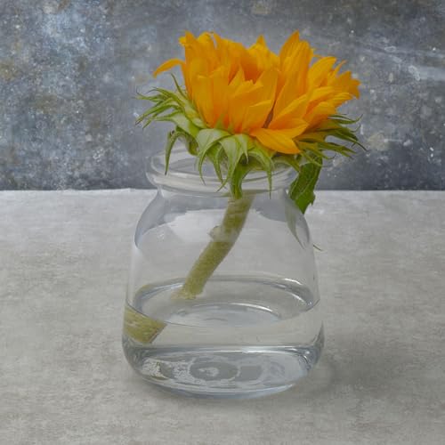 Elements Glass Milk Bottle Vase, for Use with Dried or Faux Flowers and Greenery, 4.2x4.2x4.72 Inch, Clear - size: 4.7 Inch