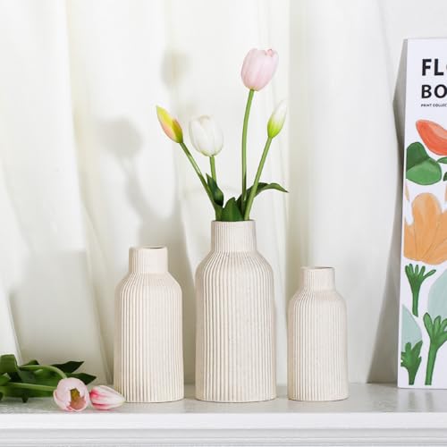 Bohemian Beige Ceramic Vase - for Pampas Grass, Mantel, Bookshelf, Entryway and Living Room Decor (Beige, Set of 3) - color: Beige, size: Set of 3