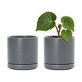 D'vine Dev Set of 2 Plants Pots, 3.5 Inch Ceramic Planter Pot for Plants with Drainage Hole and Saucer, Speckled Grey, 94-V-A-3 - color: Gray, size: 3.5 Inch