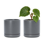 D'vine Dev Set of 2 Plants Pots, 3.5 Inch Ceramic Planter Pot for Plants with Drainage Hole and Saucer, Speckled Grey, 94-V-A-3 - color: Gray, size: 3.5 Inch
