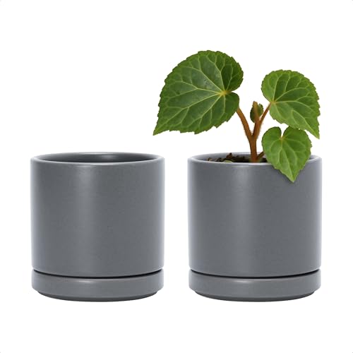 D'vine Dev Set of 2 Plants Pots, 3.5 Inch Ceramic Planter Pot for Plants with Drainage Hole and Saucer, Speckled Grey, 94-V-A-3 - color: Gray, size: 3.5 Inch