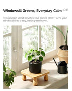 100% Solid Wood Plant Stand Indoor, Wooden Stool Display Stand, Riser Flower Pot Holder, Modern Plants Rack, Small Planter Tray for Home Decor, Living Room, Gardening, Natural (2PCS)