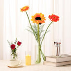 12pcs Clear Glass Cylinder Vases, 4, 6, 7.5, 10 Inch Tall Cylinder Vases for Centerpieces,Glass Flower Vase Hurricane Floating Candle Holder Vase for Wedding, Table Shelf, Party,Home Decor,Gift