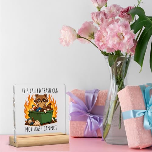 Dumpster Fire Desk Accessories Funny Office Decor Funny Office Gifts Motivational Desk Decor Acrylic Raccoon Humor Gifts for Women Men Friend Coworker - color: It's Called Trash Can Not Trash Cannot