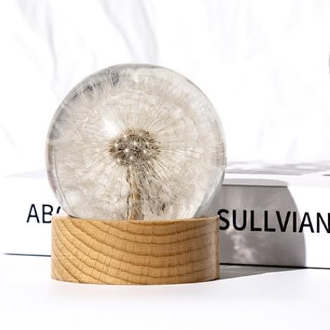 Real Dandelion Specimen in Clear Resin Sphere with Solid Wood Base - 2.36" Preserved Natural Dandelion Display, Botanical Home Decor, Scientific Collectible - color: Dandelion Specimen (2.36" Diameter)