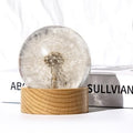Real Dandelion Specimen in Clear Resin Sphere with Solid Wood Base - 2.36" Preserved Natural Dandelion Display, Botanical Home Decor, Scientific Collectible - color: Dandelion Specimen (2.36" Diameter)