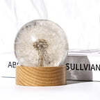 Real Dandelion Specimen in Clear Resin Sphere with Solid Wood Base - 2.36" Preserved Natural Dandelion Display, Botanical Home Decor, Scientific Collectible - color: Dandelion Specimen (2.36" Diameter)