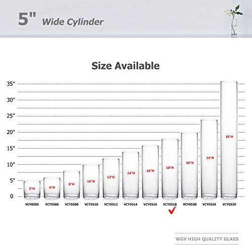 WGV Cylinder Vase, Diameter 5", Height 18", Clear Glass Floral Planter Container, Tall Centerpiece Arrangement for Wedding Party Event Home Office Decor, 1 Piece - size: 5"x18"H CL