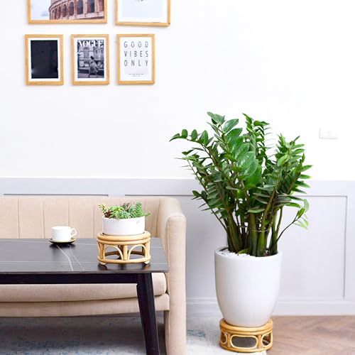 KUTORKILL Set of 2 Large Rattan Wicker Round Risers Decorative Indoor Plant Stand, Mid Century Minimalist Modern Plant Stands, Boho Short Plant Stand Holder Suitable Fits 8'' and 12'' Pots - size: 9.0" & 12"