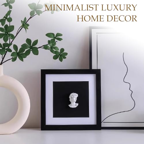 Milnnie 9×9" Modern Luxury David Frame Art Decor – Minimalist Resin Bust in Black and White Shadow Box, Wall or Tabletop Accent for Living Room, Bedroom, Office, Gallery or Gift Display