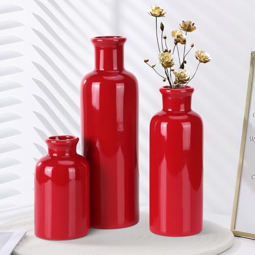 Small Ceramic Vase Set of 3, Boho Modern Flower Vase Room Decor, Farmhouse Decor, Vases for Your Kitchen, Bathroom, Bedroom, Living Room, Office&Shelf Centerpiece Table Decorations, Red - color: Red