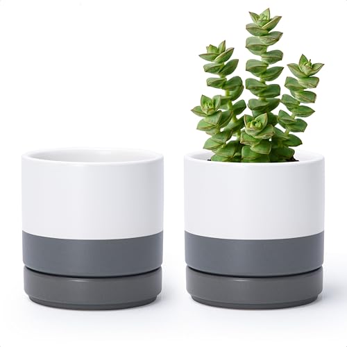 D'vine Dev Set of 2 Plants Pots, 4.7 Inch Ceramic Planter Pot for Plants with Drainage Hole and Saucer, White/Speckled Grey, 94-V-B-6 - color: White/Speckled Grey, size: 4.7 Inch