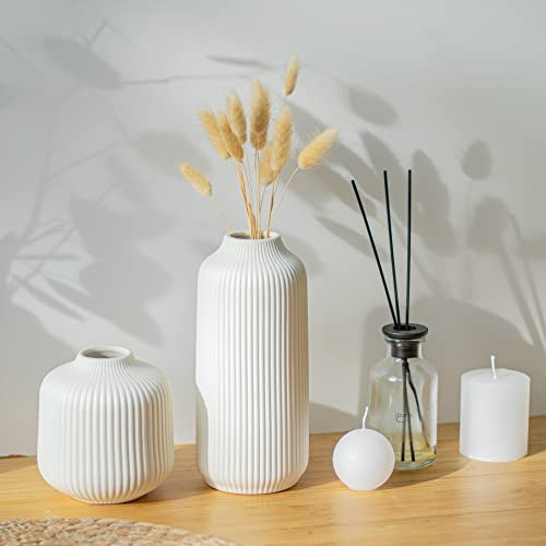 flature Ceramic Vases in Nordic Style, Modern Vase Deco for Pampas Grass, Boho Deco for Windowsill, Vases Set in White Matt, Flower Vase as Home Decoration for Fresh Flowers, Dried Flowers, Set of 2 - color: White, size: Set of 2