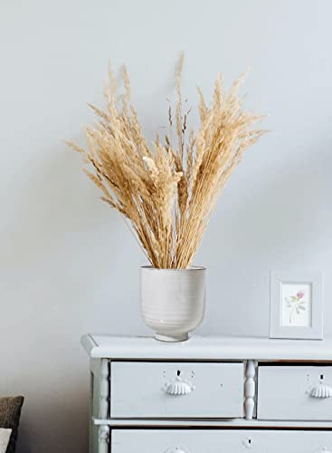 Serene Spaces Living Large Glazed Ceramic Pedestal Bowl- Centerpiece for Vintage Weddings, Events, Measures 7" Tall and 6.5" Diameter - color: 6.5" Pedestal Bowl, 1 Pc