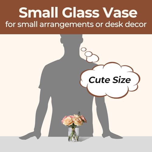 ComSaf 6pcs Mini Glass Cylinder Vases 3.9 Inch Tall, Small Vase for Flowers, Short Ribbed Vases for Centerpieces, Clear Hurricane Glass Candle Holders for Table Party Home Decor - size: 4 Inch Tall (Uniform)