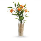 WGVI Quality Thick Weighted Clear Cylinder Glass Vases, 4" W x 12" H, Flower Arrangement Floating Candle Holders Wedding Centerpieces Terrarium Planter Floral Countertop Storage Container, 1 Piece - size: 4"x12"H