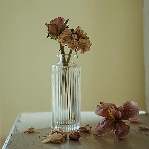 Set of 3 Mini Clear Glass Vase,Small Flower Bud Vase Hydroponics Planter Decorative for Flower,Table,Party,Home,Centerpieces(Clear 3) - color: Clear 3