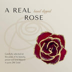 Forever Rose Hand-Dipped in 24K Gold, Ruby Red-Inspired July Birthstone with Sparkles, Real Rose in Luxury Gold Gift Box & Clear Glass Bud Vase –Perfect Ready to Gift for July Birthday or Any Occasion - color: July Ruby