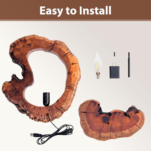 LAPTAIN Wood Table Lamp, Irregular Jujube Tree Wooden Bedside Lamp, Creative Home Decor Table Lamp, Bedside Night Light for Bedroom, Living Room, E12, ON-Off Button,Wood Base - size: Large