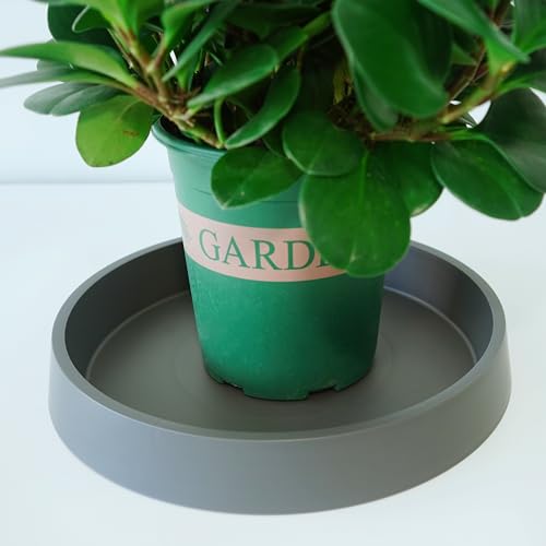 1 Pack Plant Saucer Tray for Ceramic Plastic Pots, 6 inch Plant Saucers for Indoors, Pot Saucers Trays, Flower Planter Water Drip Trays for Pots Base (6", Gray) - color: Gray, size: 6" (1 Pack)