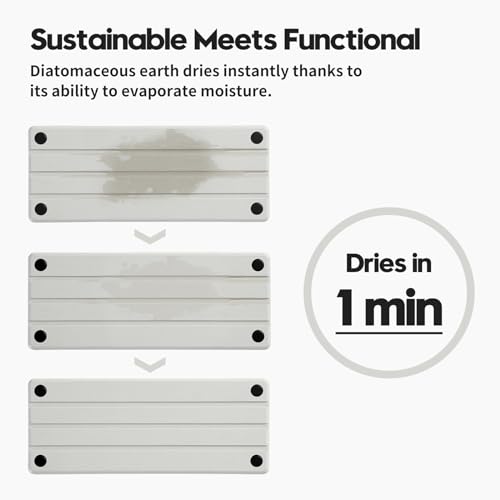 Razborci Instant Dry Sink Caddy Kitchen Sink Organizer, Quick Drying Diatomaceous Earth Stone Sink Tray Sponge Holder Soap Dish, Bathroom Countertop Vanity Dispenser Toothbrush Bottle, White, 10" x 4" - color: 1. White, size: 10" x 4" x 1"