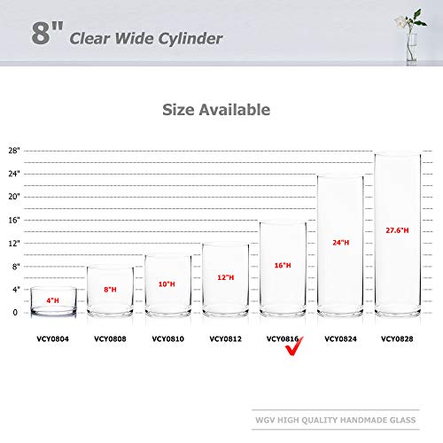 WGV Cylinder Vase, Width 8", Height 16", Clear Wide Large Diameter Flower Glassware, Floral Container, Planter Terrarium for Wedding Party Event, Home Accent Decor, 1 Piece - size: 8"x16"H