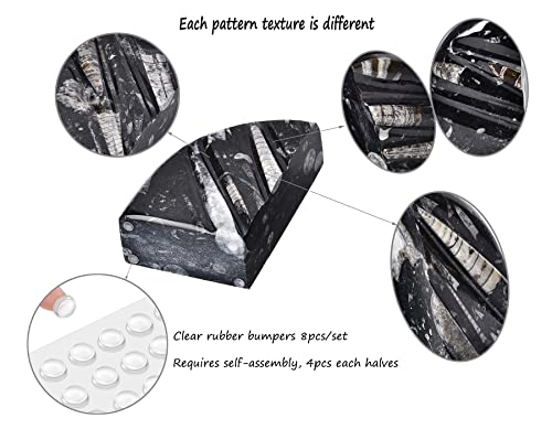 AMOYSTONE 1Pair Unique Decorative Bookends Natural Orthoceras Fossil 4-5 LBS for Kids Books, Home Kitchen, Height 4.7" - color: Black & White C, size: 4-5 Lbs