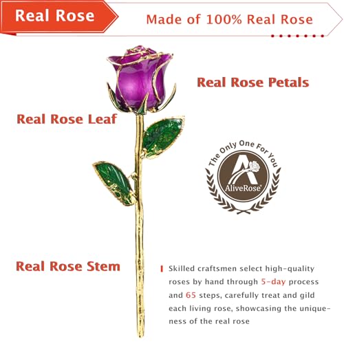 AliveRose Gold Roses, 24K Gold Rose Made from Real Rose - Unique Design 24K Dipped Rose for Anniversary Valentines Mothers Day Birthday Gifts (Purple Original Rose with Crystal Vase) - color: 4. Purple Original Rose With Crystal Vase