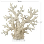 Deco 79 Polystone Coral Decorative Sculpture Home Decor Statue with Clear Acrylic Base, Accent Figurine 21" x 6" x 21", Cream - size: 21" x 6" x 21"