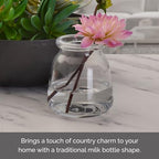 Elements Glass Milk Bottle Vase, for Use with Dried or Faux Flowers and Greenery, 4.2x4.2x4.72 Inch, Clear - size: 4.7 Inch