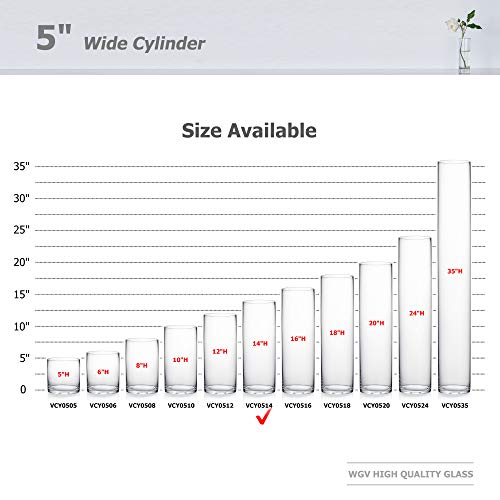 WGV Cylinder Vase, Diameter 5", Height 14", Clear Glass Floral Planter Container, Tall Centerpiece Arrangement for Wedding Party Event Home Office Decor, 1 Piece - size: 5"x14"H CL