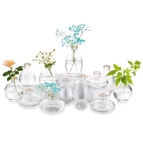 Glass Bud Vase for Centerpieces: 12Pcs Glasseam Gold Rim Mini Small Vases for Flowers Bulk Flower Vase Set Aesthetic Cute Handmade Tiny Short Wedding Table Centerpiece Decor - color: Gold Rim, size: 4 Sets