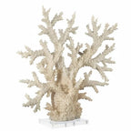 Deco 79 Polystone Coral Decorative Sculpture Home Decor Statue with Clear Acrylic Base, Accent Figurine 21" x 6" x 21", Cream - size: 21" x 6" x 21"
