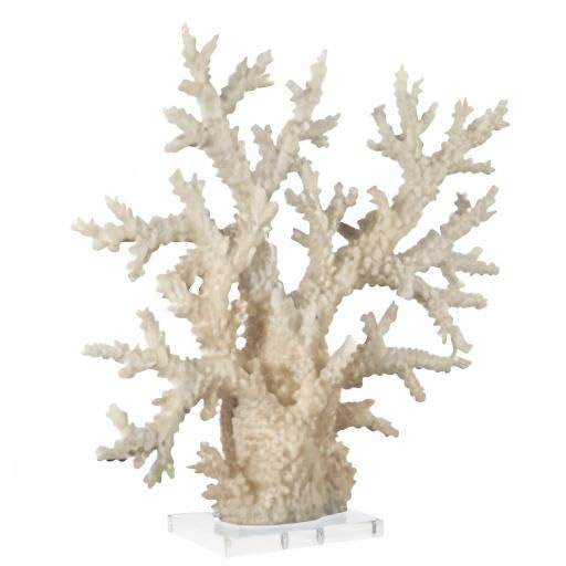 Deco 79 Polystone Coral Decorative Sculpture Home Decor Statue with Clear Acrylic Base, Accent Figurine 21" x 6" x 21", Cream - size: 21" x 6" x 21"